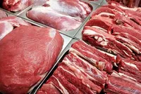 توزیع ۲۲۰تن گوشت گوساله، جهت کاهش قیمت و تنظیم بازار (۸ آذرماه ۱۴۰۴)