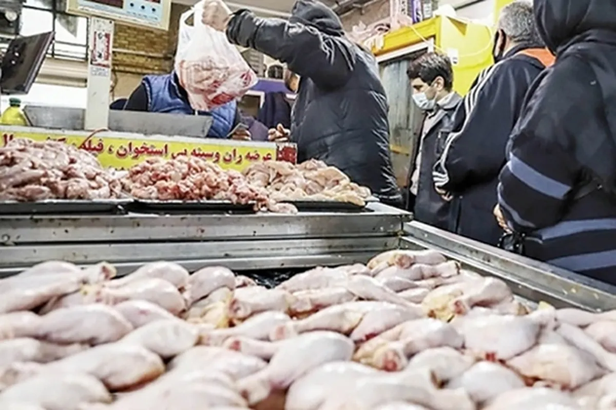 افزایش قیمت مرغ در مشهد (۵ مهر ۱۴۰۴) + جدول