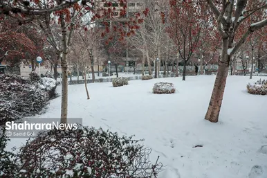بارش برف در مشهد (۰۷/ ۱۲/ ۱۴۰۲)