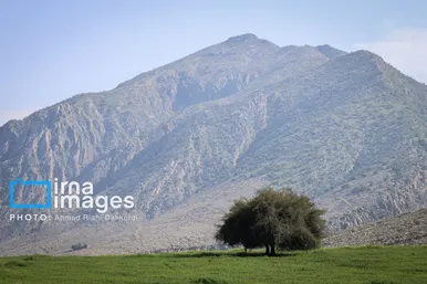 ایران زیباست | دشت «سوسن» خوزستان