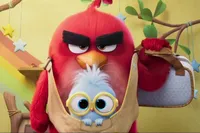 انتشار اولین تریلر انیمیشن Angry Birds ۳؛ بازگشت پرندگان خشمگین به سینما + تاریخ پخش