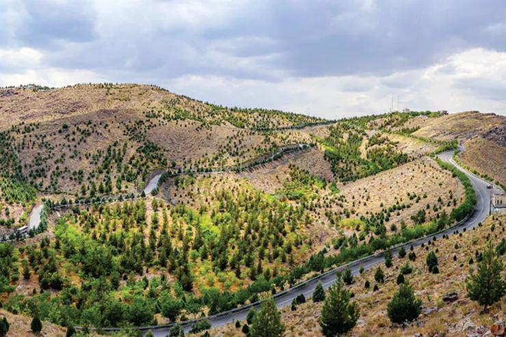 بوستان ۶۳ هکتاری ارتفاعات جنوبی مشهد در تابستان ۱۴۰۰ به بهره‌برداری می‌رسد
