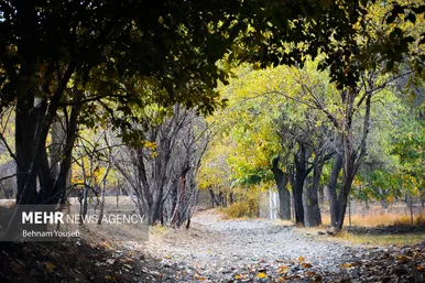 ایران زیباست | روستای دِلارام؛ «دهکده پزشکان»