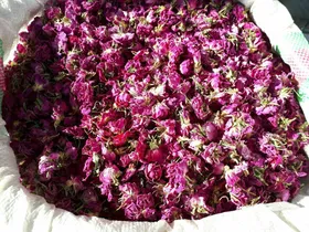 صادرات ۵۷۰ میلیون دلاری گیاهان دارویی