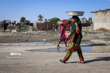واکسیناسیون دام در مناطق سیل زده