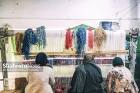 هدف&zwnj;گذاری راه&zwnj;اندازی سالانه ۴ مرکز رویش در مشهد | ۱۰ مرکز در قالب طرح&zwnj;های زودبازده در دست ساخت است