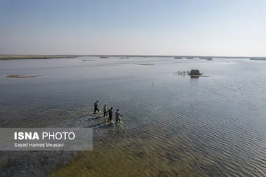 نگهبانان تالاب هورالعظیم
