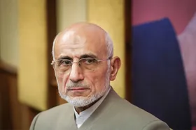 نگاهی به چرایی استعفای میرسلیم از هیئت مرکزی نظارت بر انتخابات شورا&zwnj;ها