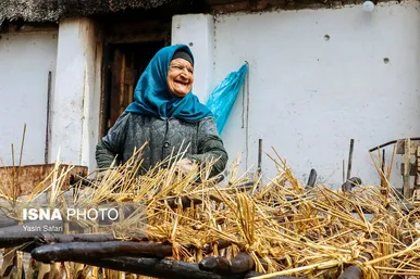 عکس‌هایی از ماهی‌های دودخانه - بندر انزلی