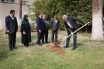 پزشکیان: با کاشت درخت، اجازه ندهیم وضعیت زیستی کشور بیش از این تخریب شود