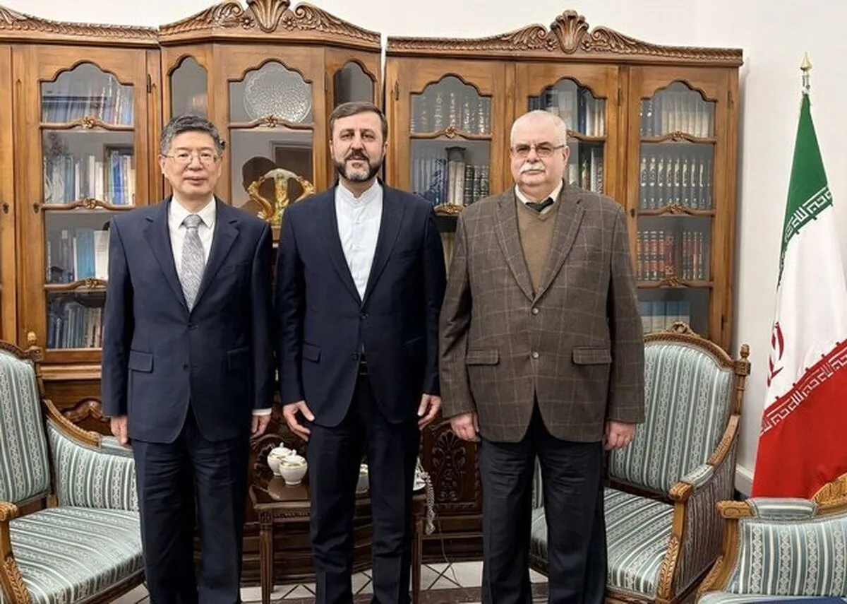 غریب آبادی با سفرای چین و روسیه در تهران رایزنی کرد