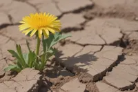 درباره پاداش صبر بر سختی‌ها و مصائب | حکم خدا را امضا کنید