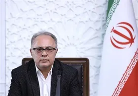 معاون پارلمانی رئیس&zwnj;جمهور: در صورت ابلاغ قانون حجاب، دولت مکلف به اجرای آن است