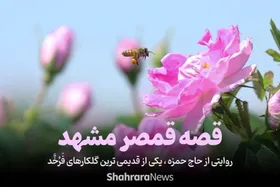 ویدئو | روایتی از حاج حمزه، یکی از قدیمی&zwnj;ترین گلکارهای فرخّد | قصه قمصر مشهد
