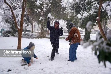 گزارش تصویری | بارش زیبای برف در مشهد