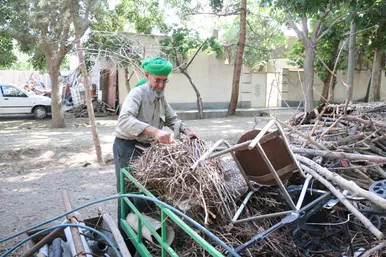 عطر بی مانند نان تنوری