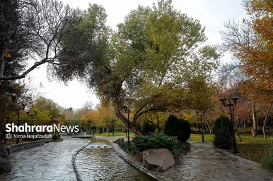 طبیعت پاییزی بوستان های مشهد