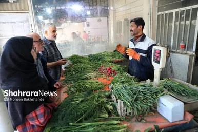 گزارش تصویری |  بازار ماهی فروشان در شهرک عرب‌های مشهد