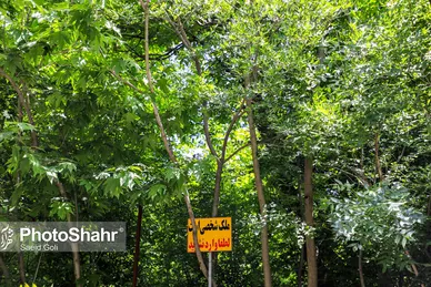 طبیعت «کلاته آهن»، روستایی زیبا در حوالی مشهد