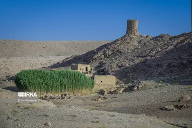ایران زیباست | پناهگاه حیات وحش نایبندان