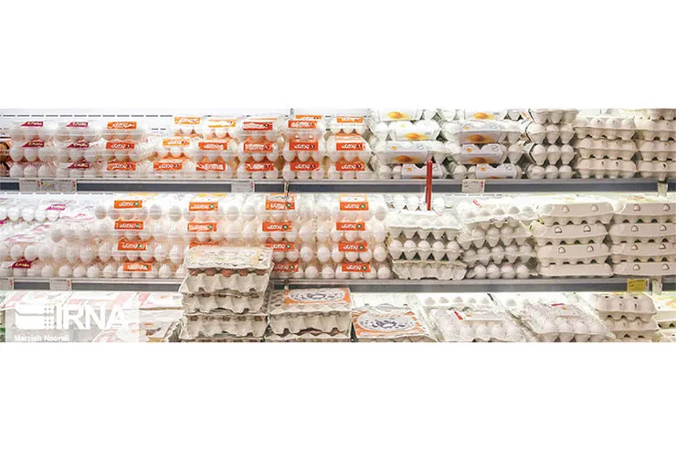 تخم‌مرغ‌های وارداتی در راه است؟
