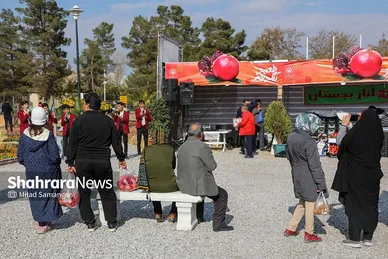 جشنواره‌ی طعم و رنگ پاییز