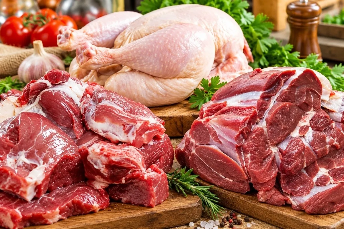 آخرین قیمت اقلام پروتئینی در بازار مشهد | گوشت و مرغ چند؟ (۲۳ شهریور ۱۴۰۵)