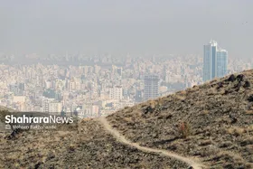 آنچه امسال از مشکلات مشهد روی زمین ماند