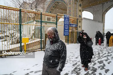 گزارش تصویری | بارش برف در مشهد (۲۱ بهمن ۱۴۰۳)
