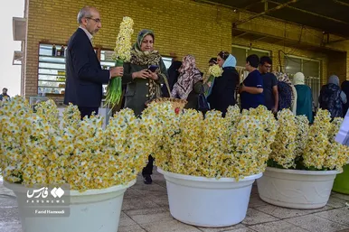 ایران زیباست | نرگسِ «بِهبهان»