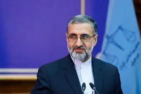 سخنگوی قوه&zwnj;قضائیه در واکنش به پرونده خانواده خرمدین: باید مجازات مناسب لحاظ شود