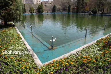گزارش تصویری | المان های گل در نوروز ۱۴۰۴ مشهد