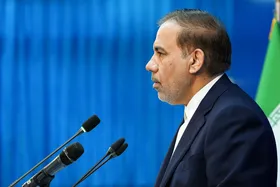 شایعه روحانی&zwnj;بودن پسر حجت&zwnj;الاسلام صدیقی تکذیب شد