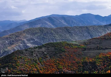 ایران زیباست | پاییز در ارسباران