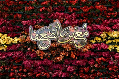 گل آرایی حرم امام رضا(ع) در دهه کرامت
