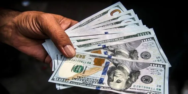 آیا حذف ارز ۴۲۰۰ تومانی تاثیری بر قیمت کالا‌ها دارد؟