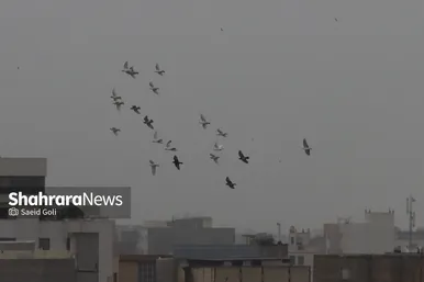 هجوم ریزگرد‌ها از ترکمنستان به مشهد (۲۵ خرداد ۱۴۰۱)