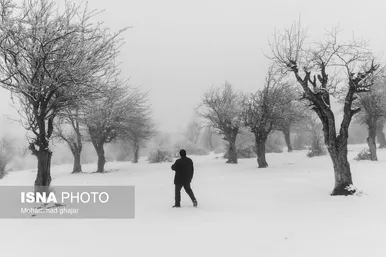 گزارش تصویری | طبیعت زمستانی استان گلستان