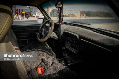 گزارش تصویری | فصل برداشت انار از باغ‌های شهرستان کاشمر