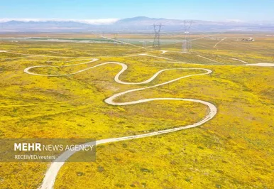تصاویر برتر هوایی رویترز در ۲۰۲۳