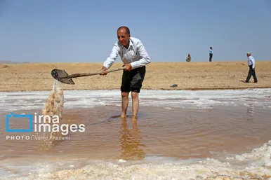 گزارش تصویری | برداشت نمک در دل کویر