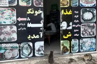 ۴ واحد اغذیه و فست فودی در مشهد پلمب شد (۲۳ بهمن ۱۴۰۲)