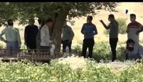تالار بورس &laquo;مال استریت&raquo; در اولین روستای بورسی ایران + ویدئو