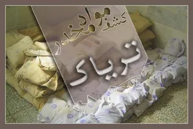 کشف بیش از ۴۲۶ کیلوگرم مواد مخدر در مرز&zwnj;های شرق کشور