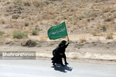 زائران پیاده حرم امام رضا (ع)
