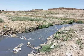 کمک &laquo;کلانتری&raquo; برای کشف&zwnj;رود