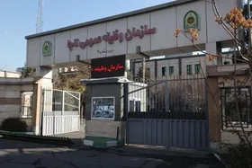 رئیس سازمان وظیفه عمومی خبر داد: حذف وثیقه مشمولان غیرغایب برای زیارت عتبات عالیات