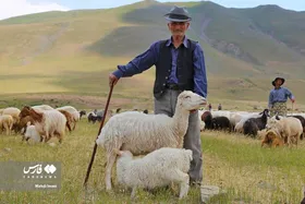 پدر، جانِ زندگی