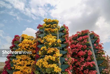 عکس‌هایی از گل آرایی حرم مطهر رضوی در دهه کرامت