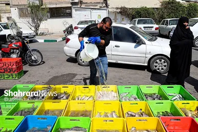 بازار ماهی فروشان در شهرک عرب‌های مشهد
